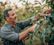 Fruitboer pleegzorg